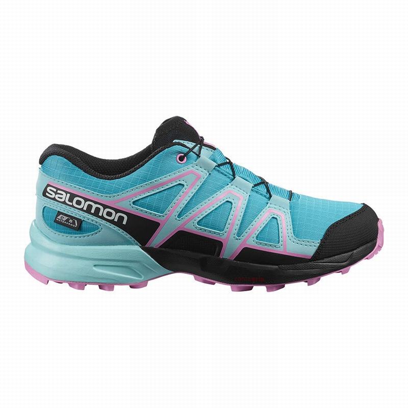 Chaussures De Trail Running Salomon Enfant Bleu / Marron Turquoise - Salomon SPEEDCROSS CLIMASALOMON